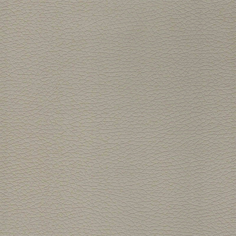 PZ02 Leather2 Texture Panel - Light Luxury