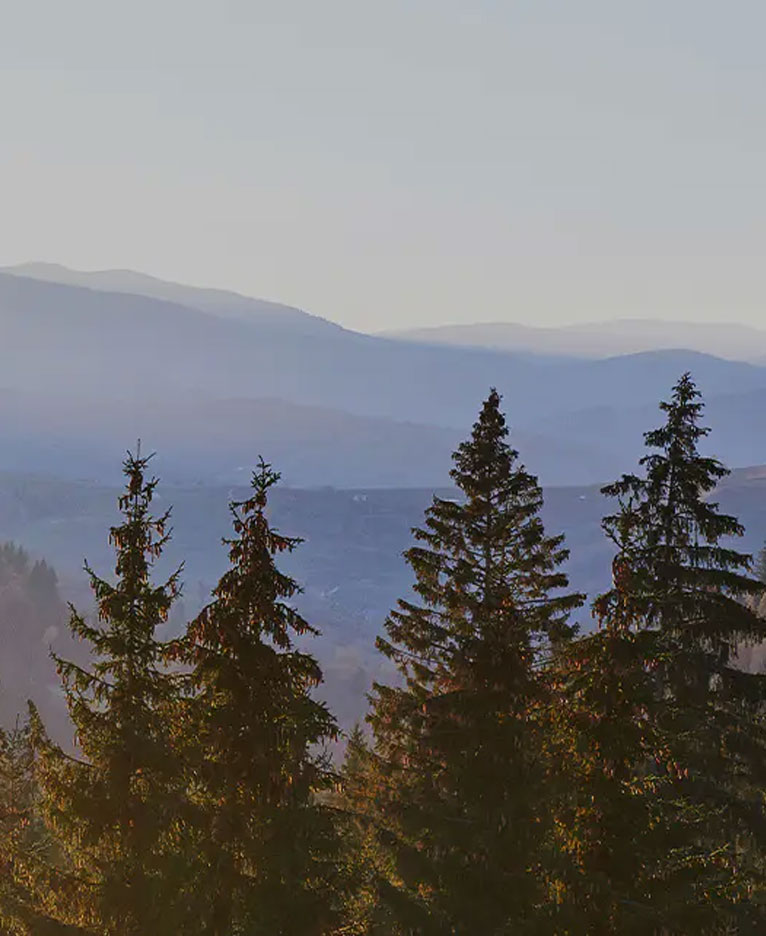 Placa melaminata cu design din piele